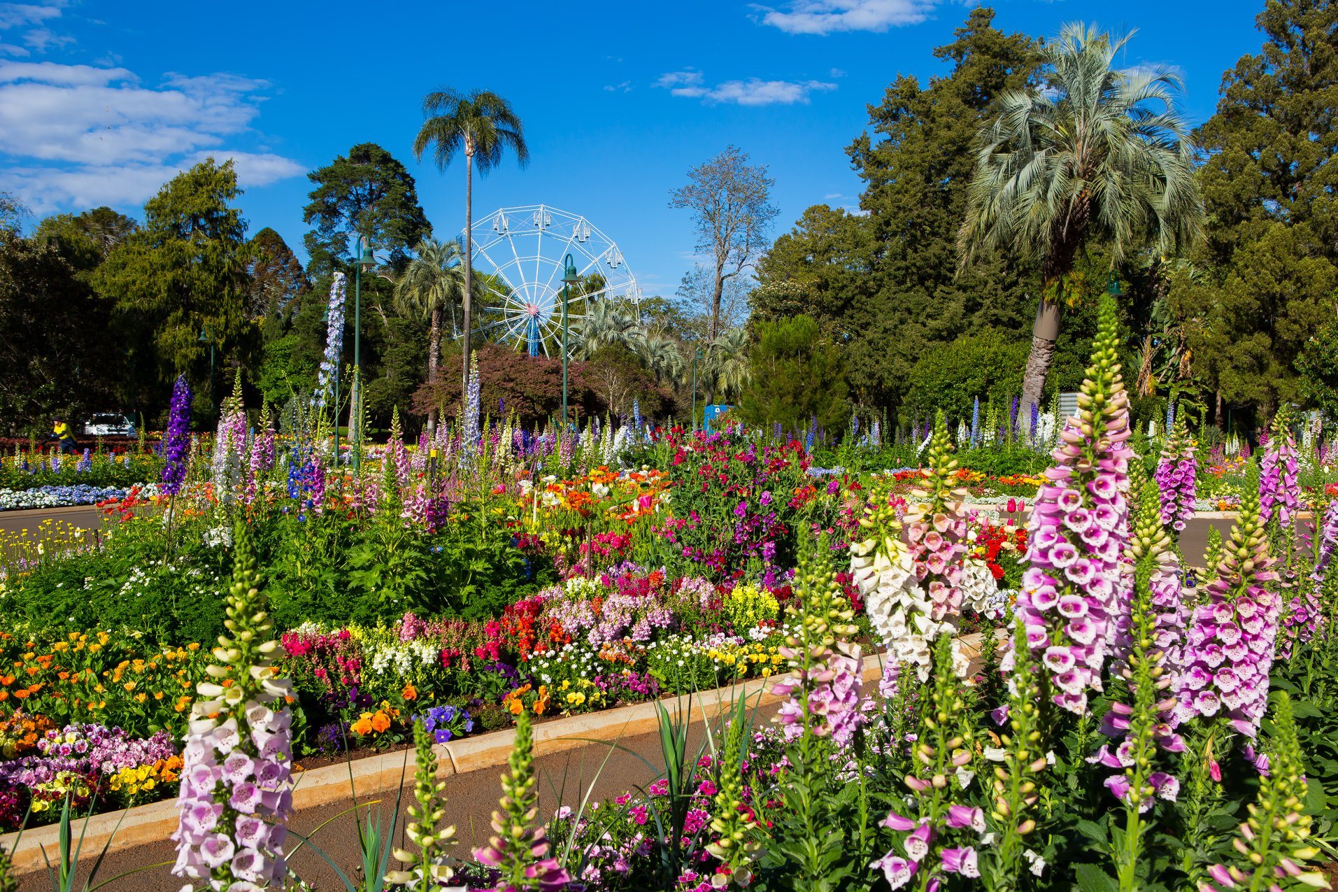 Toowoomba Carnival of Flowers 2021 - What to Expect! - Laguna